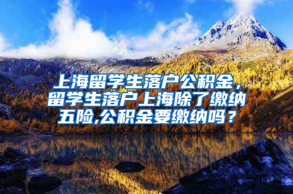 上海留学生落户公积金，留学生落户上海除了缴纳五险,公积金要缴纳吗？