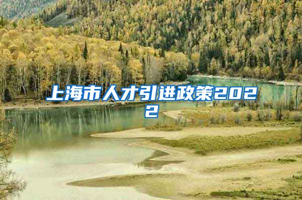上海市人才引进政策2022