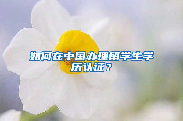 如何在中国办理留学生学历认证？