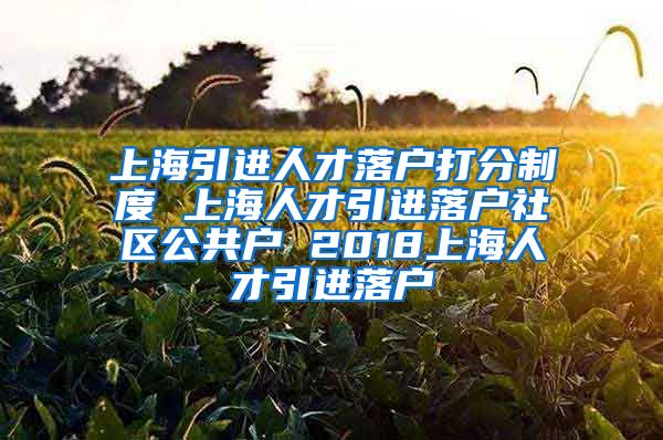 上海引进人才落户打分制度 上海人才引进落户社区公共户 2018上海人才引进落户