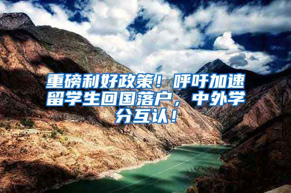 重磅利好政策！呼吁加速留学生回国落户，中外学分互认！