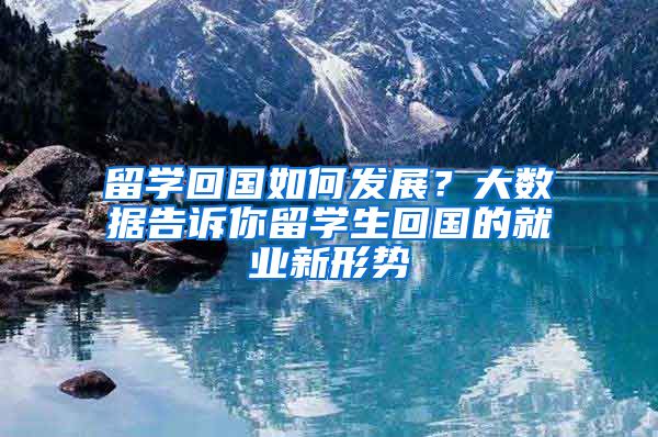 留学回国如何发展？大数据告诉你留学生回国的就业新形势