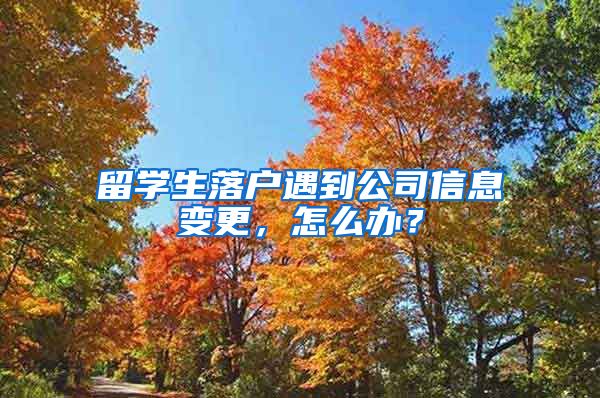留学生落户遇到公司信息变更，怎么办？