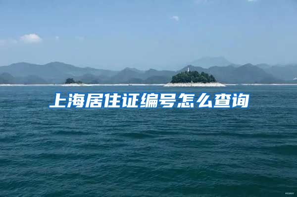 上海居住证编号怎么查询