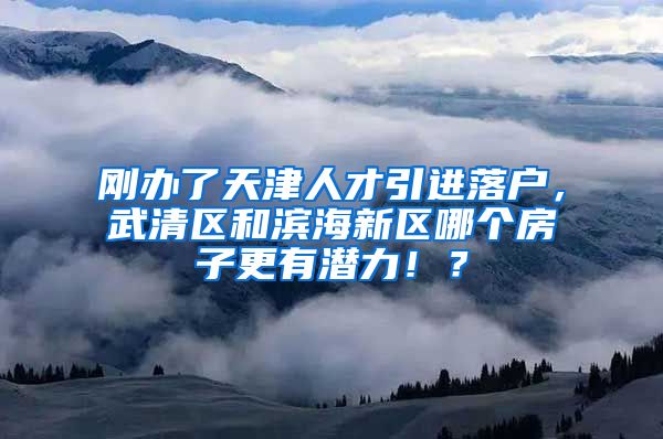刚办了天津人才引进落户，武清区和滨海新区哪个房子更有潜力！？