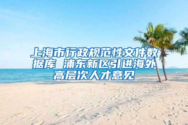 上海市行政规范性文件数据库 浦东新区引进海外高层次人才意见