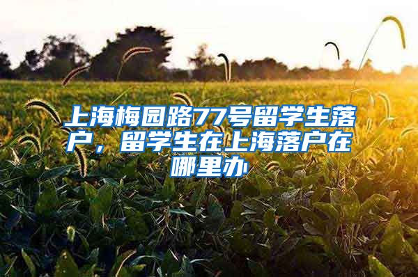 上海梅园路77号留学生落户，留学生在上海落户在哪里办