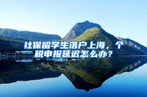 社保留学生落户上海，个税申报延迟怎么办？