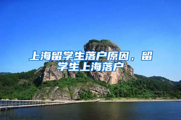 上海留学生落户原因，留学生上海落户