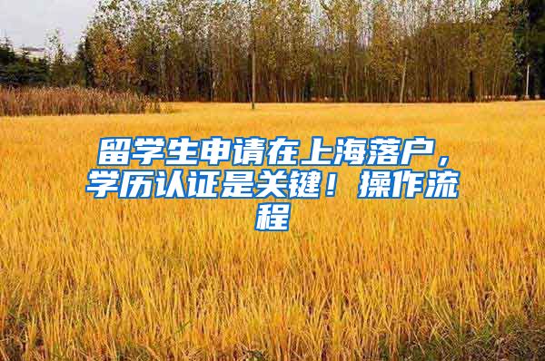 留学生申请在上海落户，学历认证是关键！操作流程