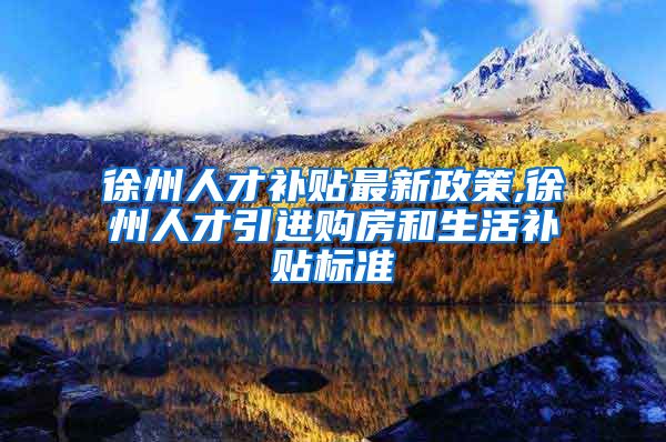 徐州人才补贴最新政策,徐州人才引进购房和生活补贴标准