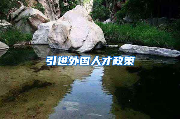 引进外国人才政策