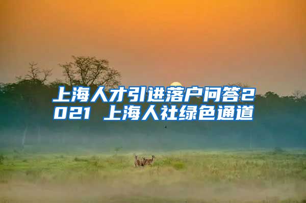 上海人才引进落户问答2021 上海人社绿色通道