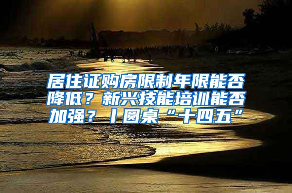 居住证购房限制年限能否降低？新兴技能培训能否加强？丨圆桌“十四五”