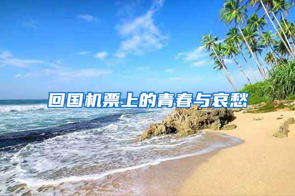 回国机票上的青春与哀愁