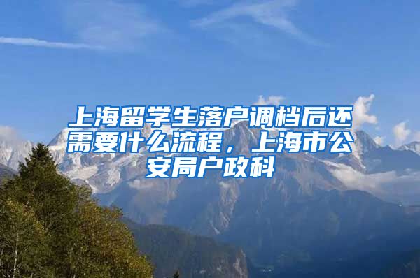 上海留学生落户调档后还需要什么流程，上海市公安局户政科