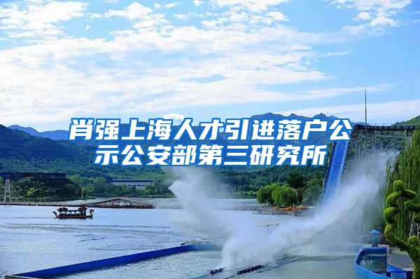肖强上海人才引进落户公示公安部第三研究所