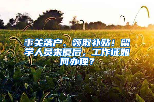 事关落户、领取补贴！留学人员来厦后，工作证如何办理？