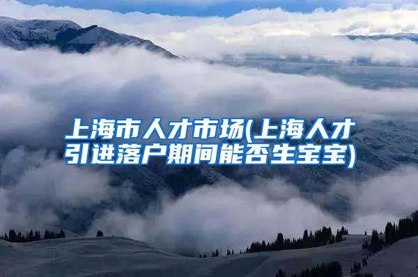 上海市人才市场(上海人才引进落户期间能否生宝宝)
