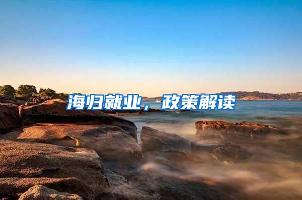 海归就业，政策解读