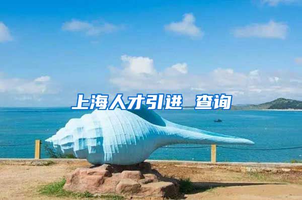 上海人才引进 查询