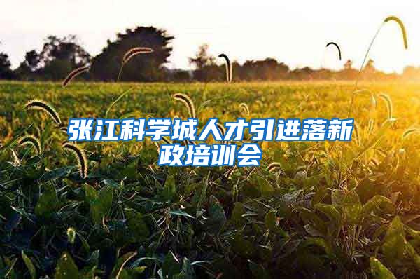 张江科学城人才引进落新政培训会