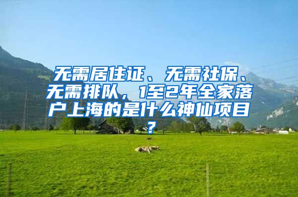 无需居住证、无需社保、无需排队，1至2年全家落户上海的是什么神仙项目？