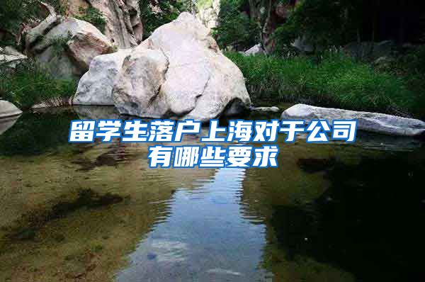 留学生落户上海对于公司有哪些要求