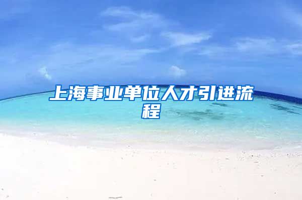 上海事业单位人才引进流程
