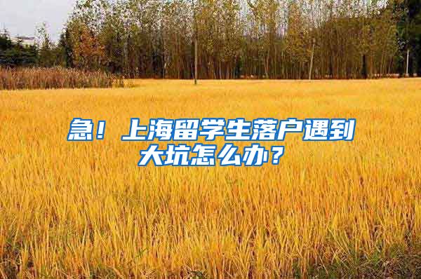 急！上海留学生落户遇到大坑怎么办？