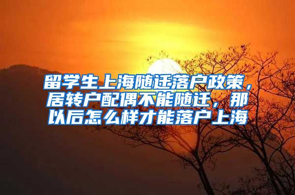 留学生上海随迁落户政策，居转户配偶不能随迁，那以后怎么样才能落户上海