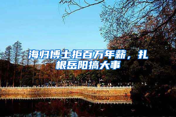 海归博士拒百万年薪，扎根岳阳搞大事