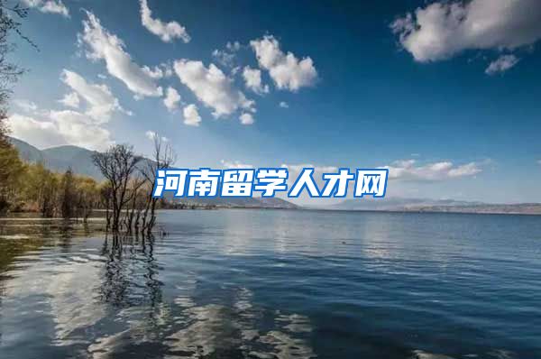 河南留学人才网