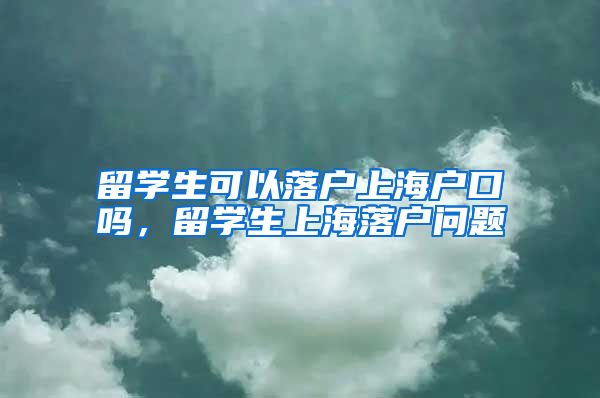 留学生可以落户上海户口吗，留学生上海落户问题