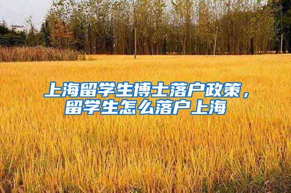 上海留学生博士落户政策，留学生怎么落户上海