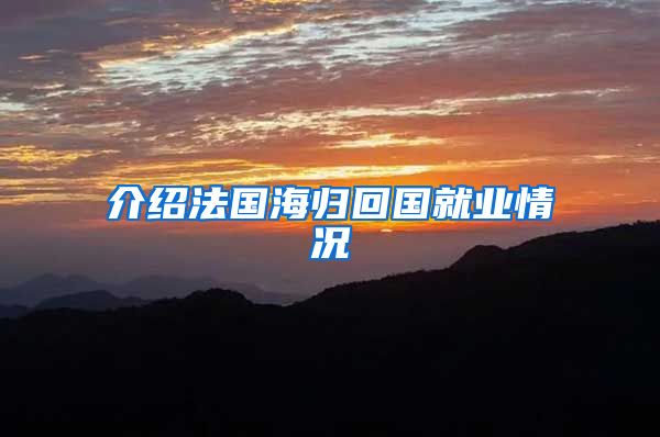 介绍法国海归回国就业情况