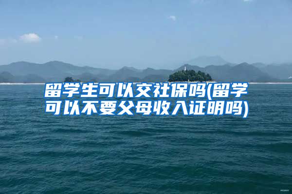 留学生可以交社保吗(留学可以不要父母收入证明吗)