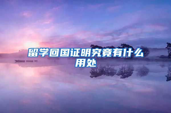 留学回国证明究竟有什么用处