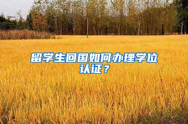 留学生回国如何办理学位认证？