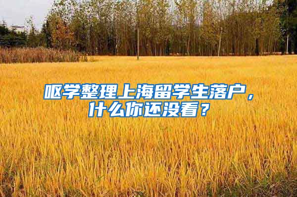呕学整理上海留学生落户，什么你还没看？