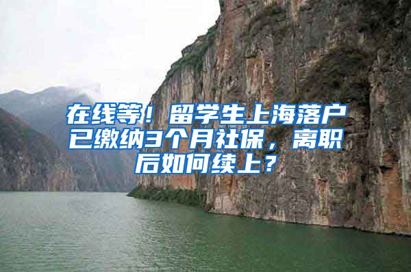 在线等！留学生上海落户已缴纳3个月社保，离职后如何续上？