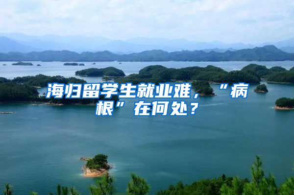 海归留学生就业难，“病根”在何处？