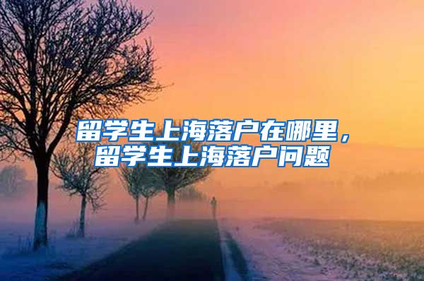 留学生上海落户在哪里，留学生上海落户问题
