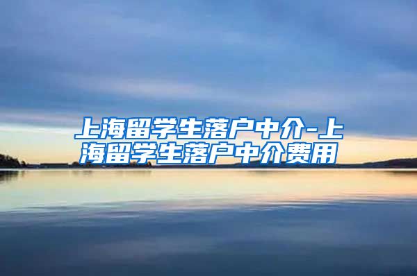 上海留学生落户中介-上海留学生落户中介费用