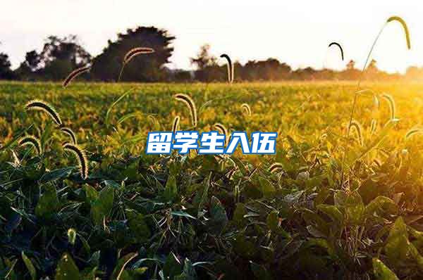 留学生入伍