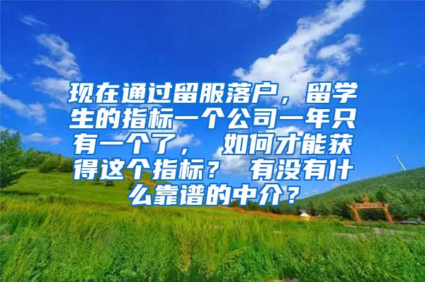 现在通过留服落户，留学生的指标一个公司一年只有一个了， 如何才能获得这个指标？ 有没有什么靠谱的中介？