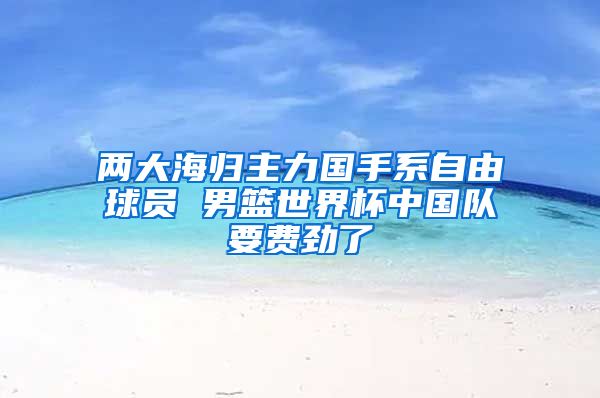 两大海归主力国手系自由球员 男篮世界杯中国队要费劲了