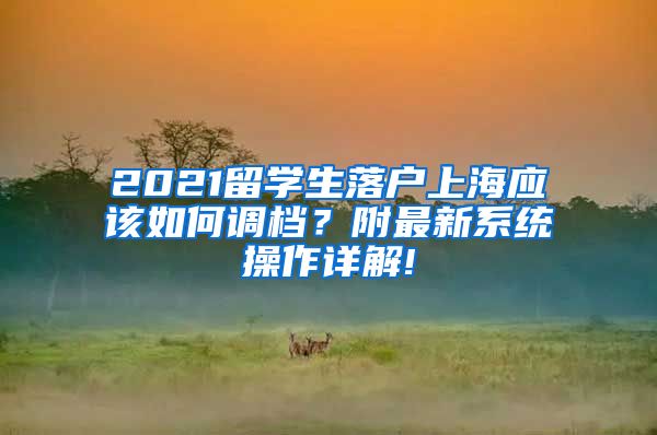 2021留学生落户上海应该如何调档？附最新系统操作详解!