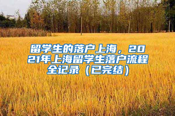 留学生的落户上海，2021年上海留学生落户流程全记录（已完结）