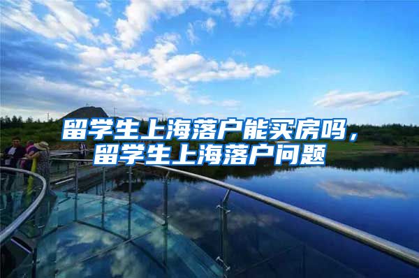 留学生上海落户能买房吗，留学生上海落户问题